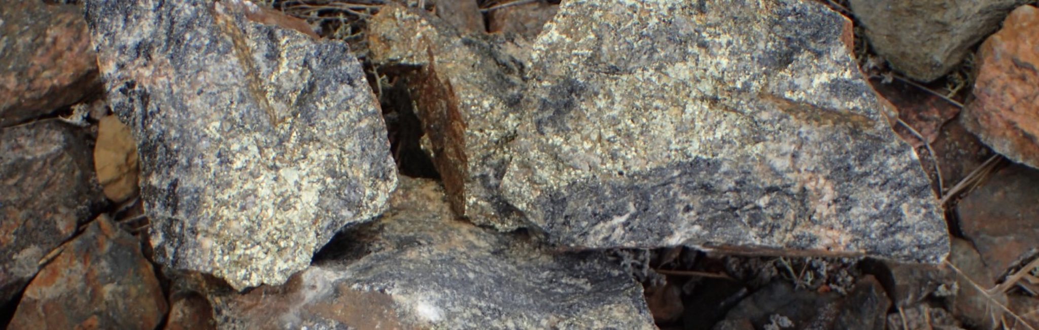 Investors - Beowulf Mining plc